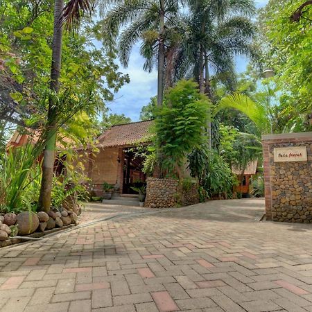 בניוואנגי Bata Merah Homestay מראה חיצוני תמונה