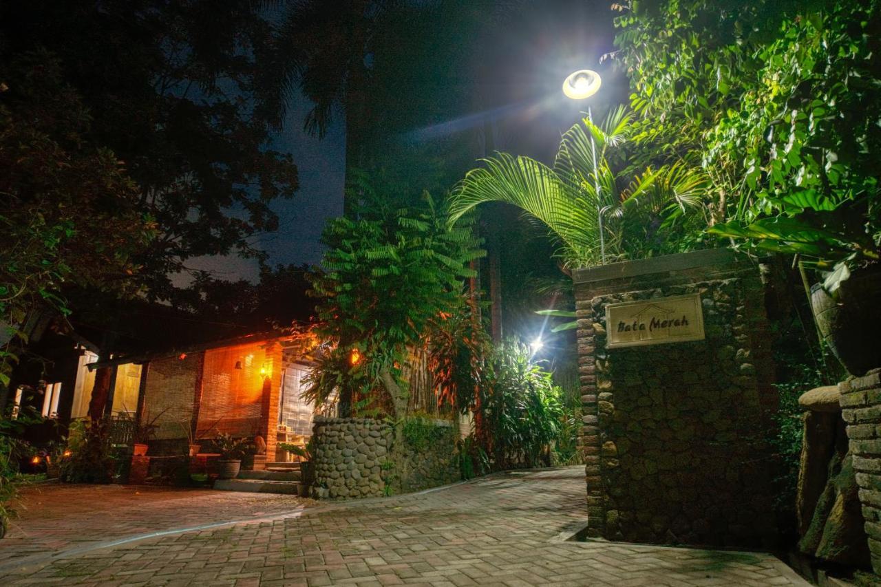 בניוואנגי Bata Merah Homestay מראה חיצוני תמונה