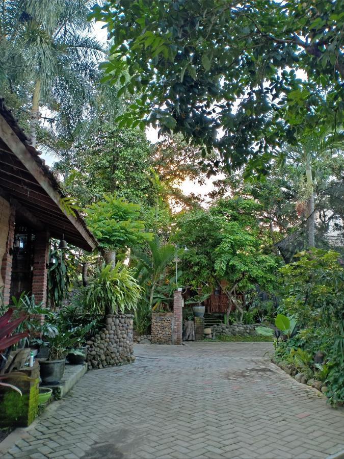 בניוואנגי Bata Merah Homestay מראה חיצוני תמונה