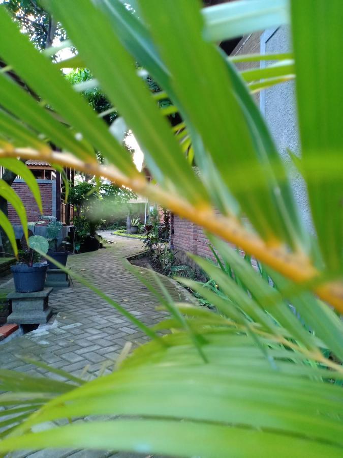 בניוואנגי Bata Merah Homestay מראה חיצוני תמונה