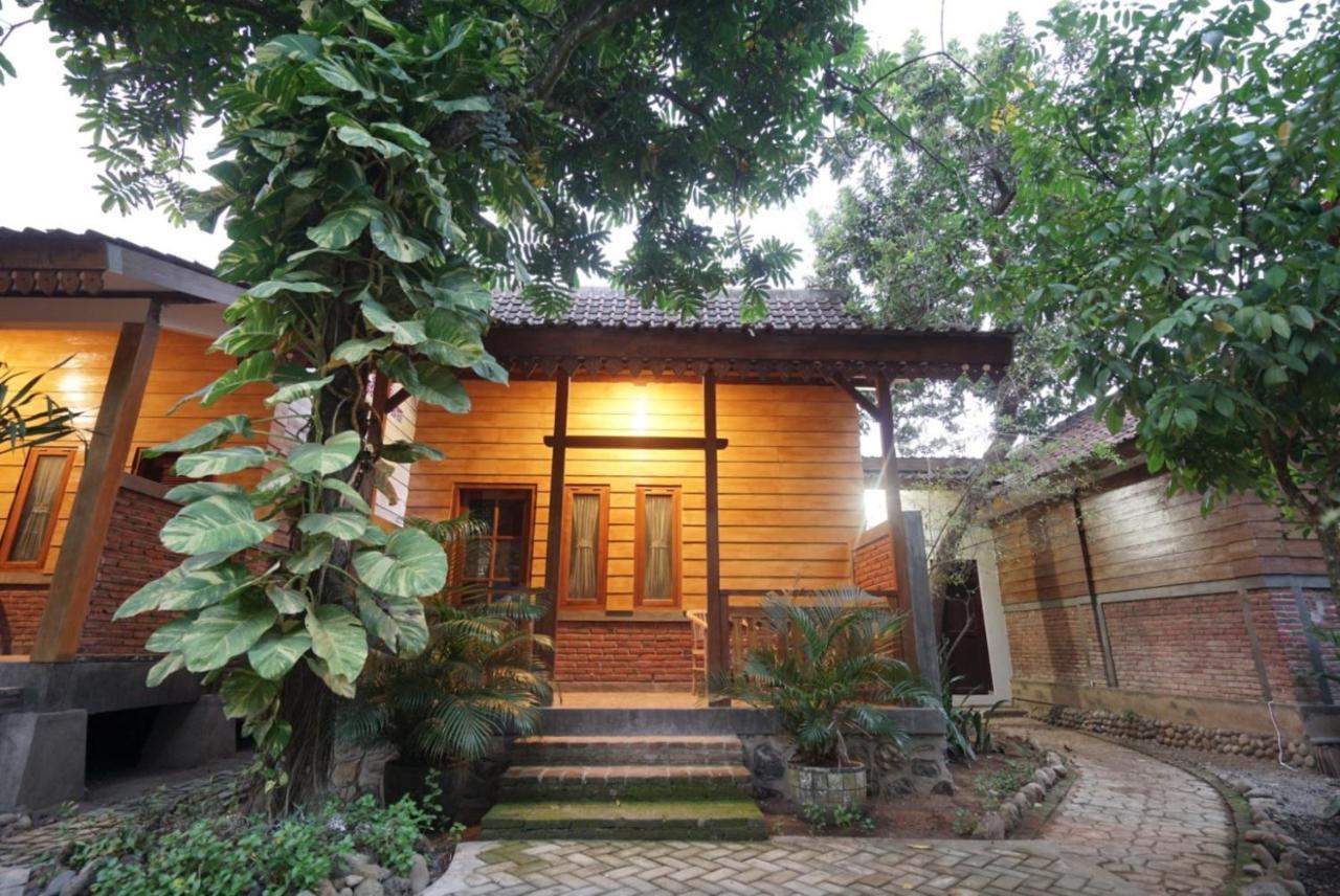 בניוואנגי Bata Merah Homestay מראה חיצוני תמונה
